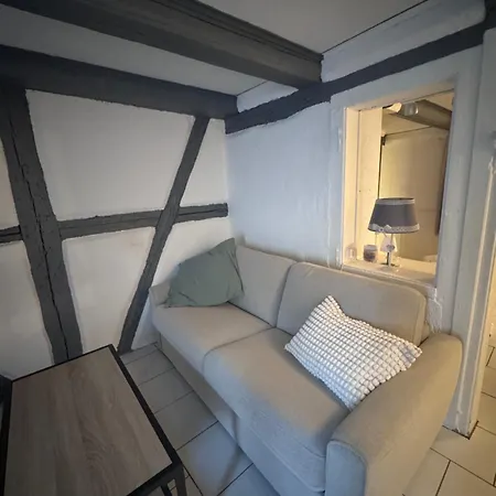 Ferienhaus Poutres Et Prestige - Charme Alsacien Au Coeur De *